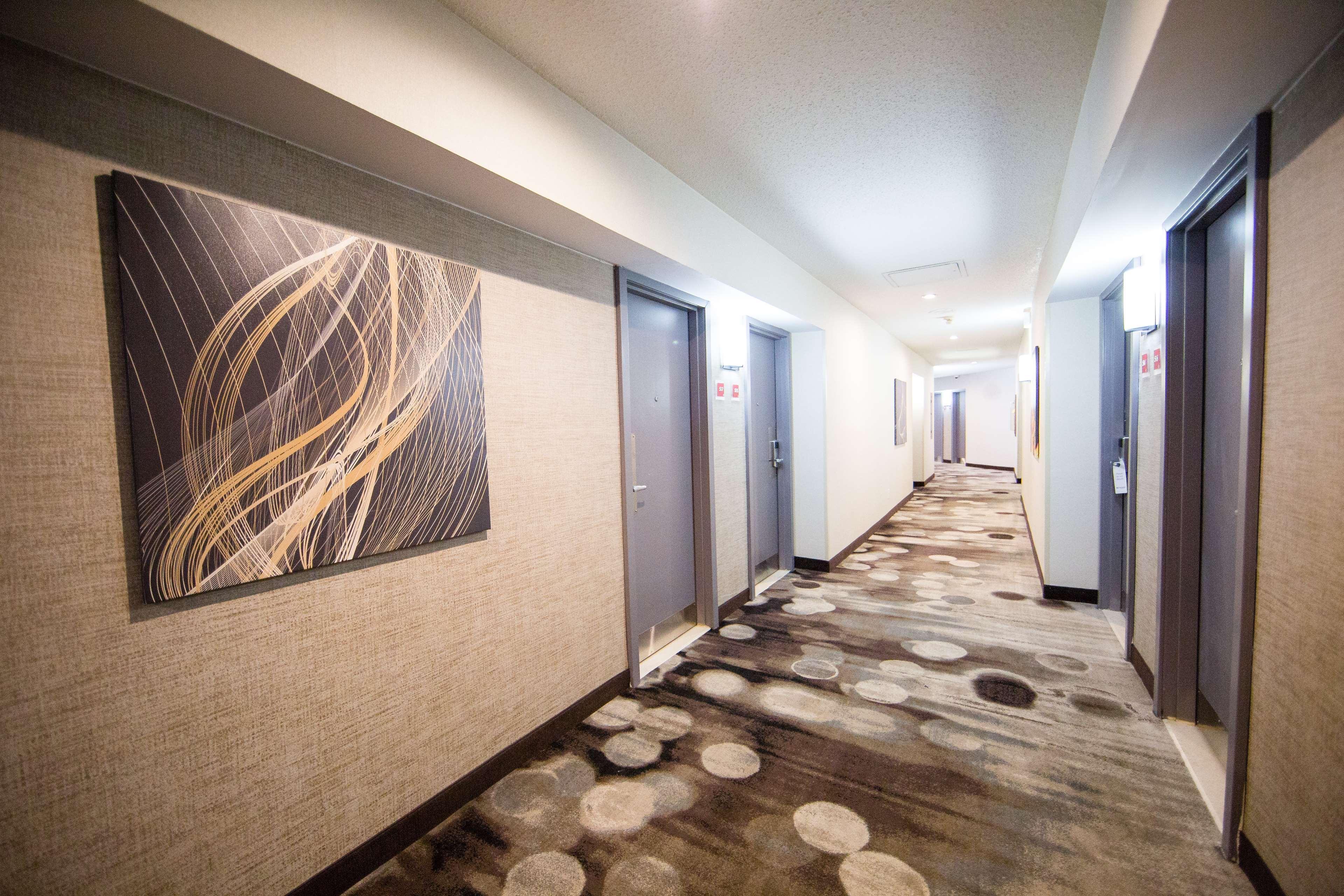 Best Western Plus Ottawa Kanata Hotel And Conference Centre Exterior foto